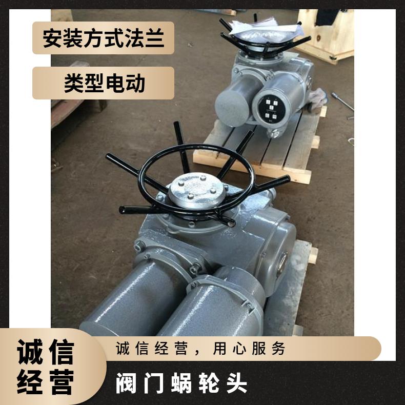 阀门驱动装置Z180T-18W 2024 15 2SQ30DKJ/ZKJ 其他博尔