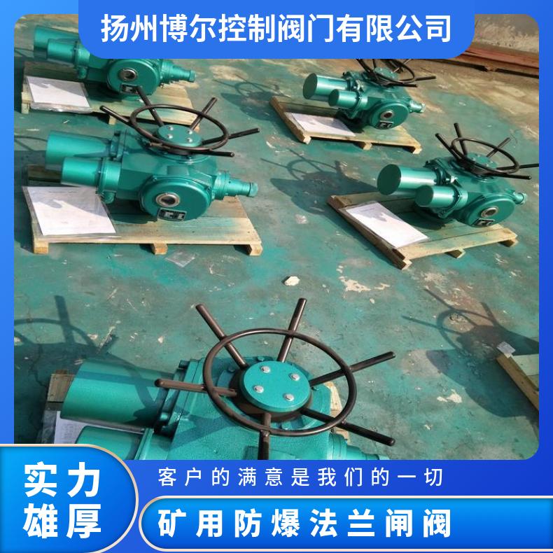 防爆电动闸阀执行器 60隔爆型矿用 法兰 DZW/ZWZB 其他博尔