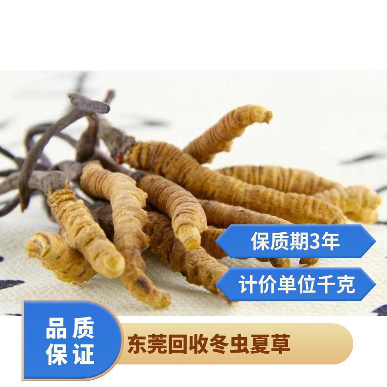 东莞回收冬虫夏草价格 上门回收礼盒装 散装虫草燕窝海参鱼胶