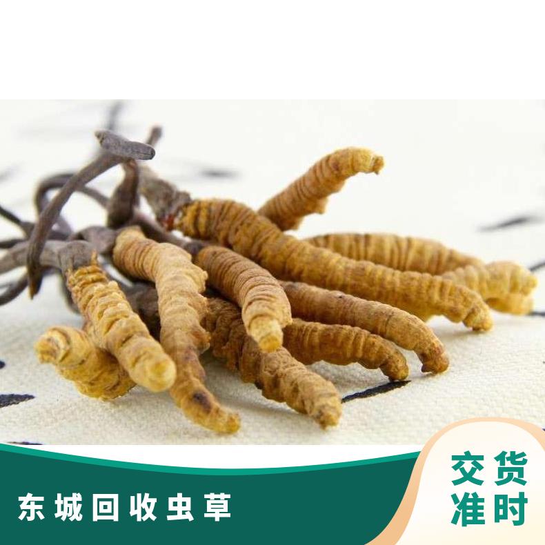 东城回收虫草上门电话 哪里回收虫草燕窝海参茅台酒洋酒红酒