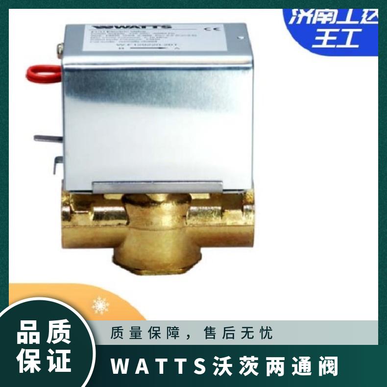 WATTS沃茨两通阀+执行器W-F129220S-20T 否 VVI46.20 青铜 西门子