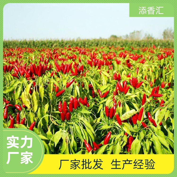 湖北特产精武鸭脖专用辣椒王25kg正宗福建辣椒王特麻辣鲜香卤料包