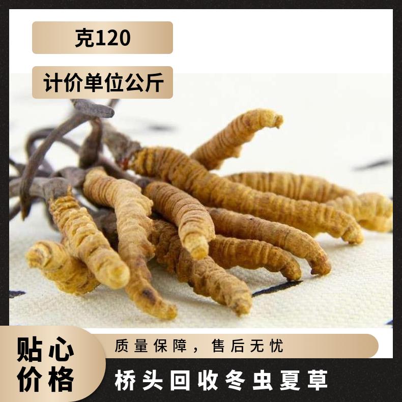 桥头回收冬虫夏草-上门回收礼盒装散装冬虫夏草-虫草回收行情了解