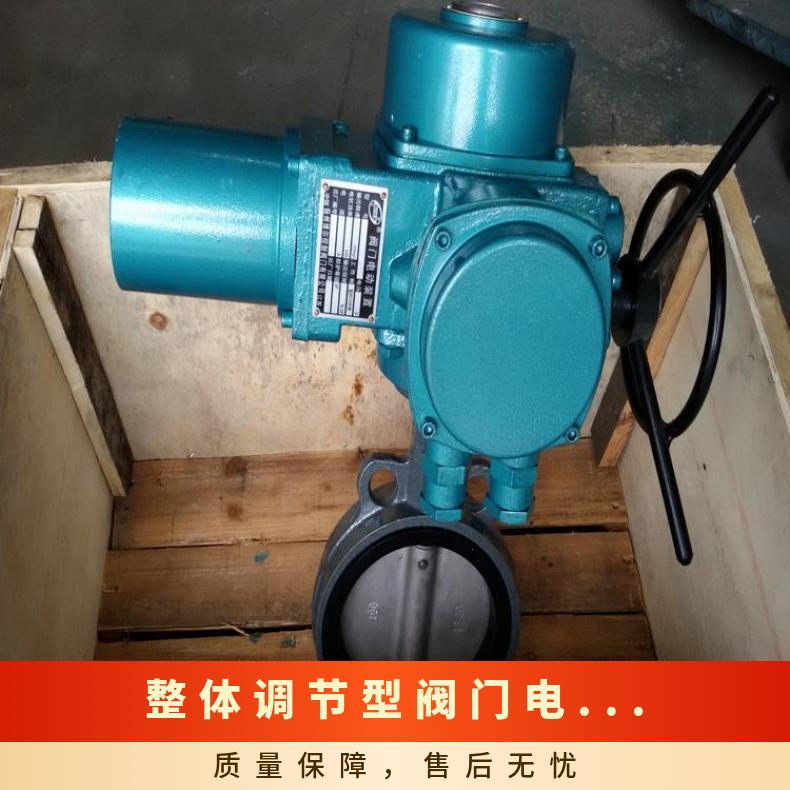 宁夏多转式调节型:IQM10 20 电动装置25 12 18