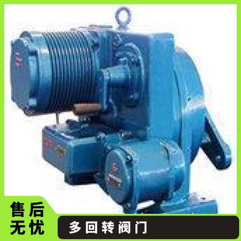 DZWZ HZZC多回转电动装置 -20℃~60 ZB/QBDZBDQB 其他博尔