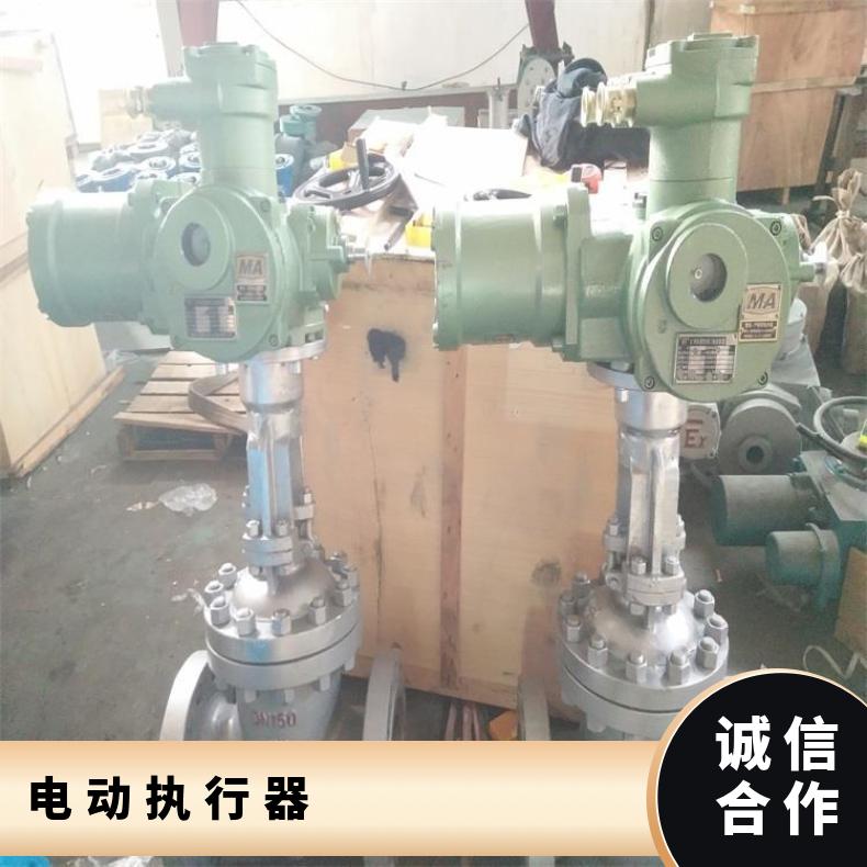 电压DC24执行器FT20-DCV 否 博尔 HZ45 水 特殊场景