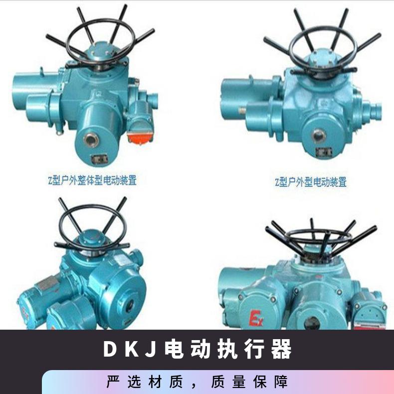 BOER电动执行器 DKJDKZLQQT802型 其他博尔 ZB/QBDZBDQB