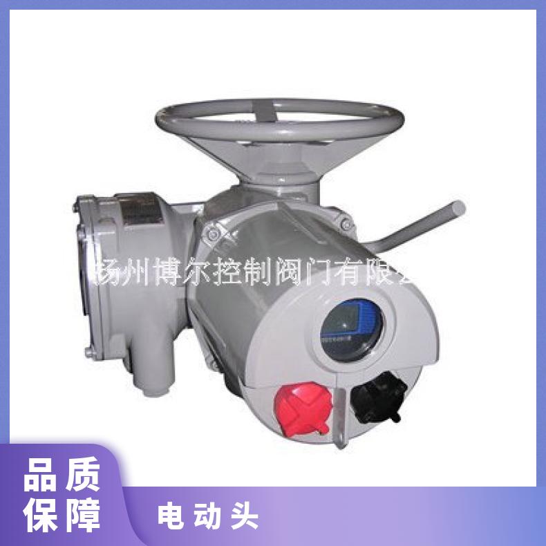 电动阀门装置 罗托克执行器 头多款型号可定 样品齐全