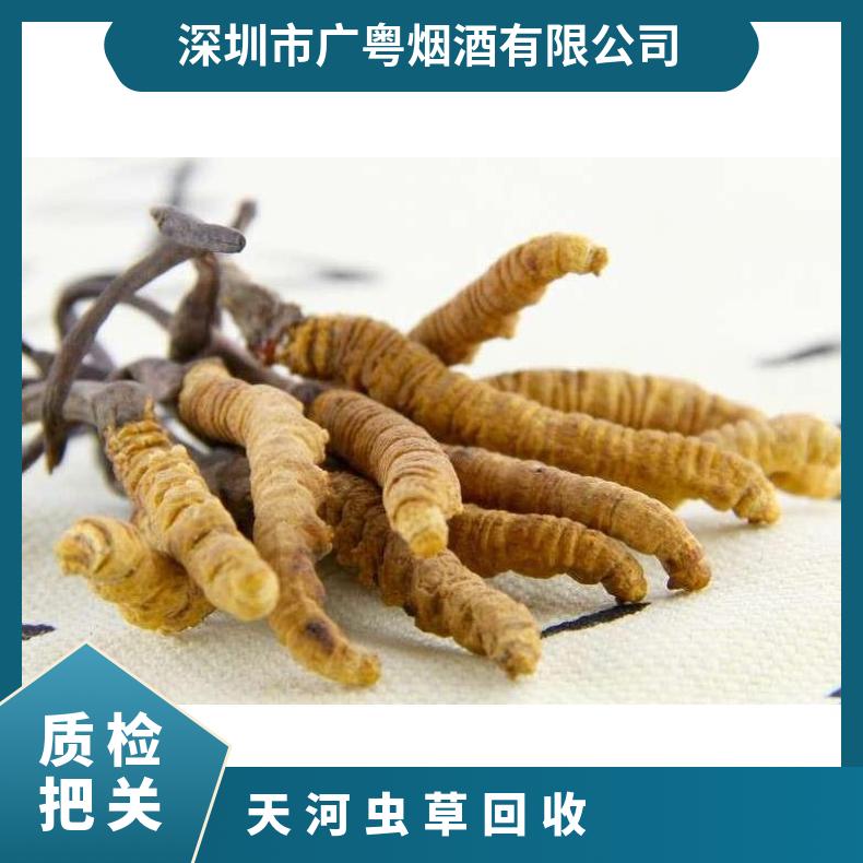天河虫草回收上门价格 长期回收虫草商家电话 附近哪里回收虫草
