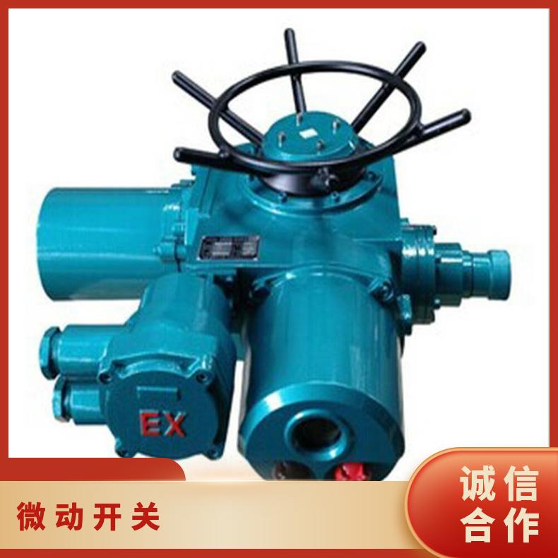 广西电动装置HWK-22A MK2-11-1微动开关1-1微动