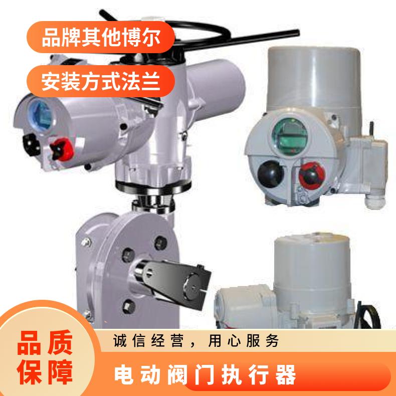 州电动装置Z120阀门DZW180执行器 法兰 其他博尔 ZB/QBDZBDQB