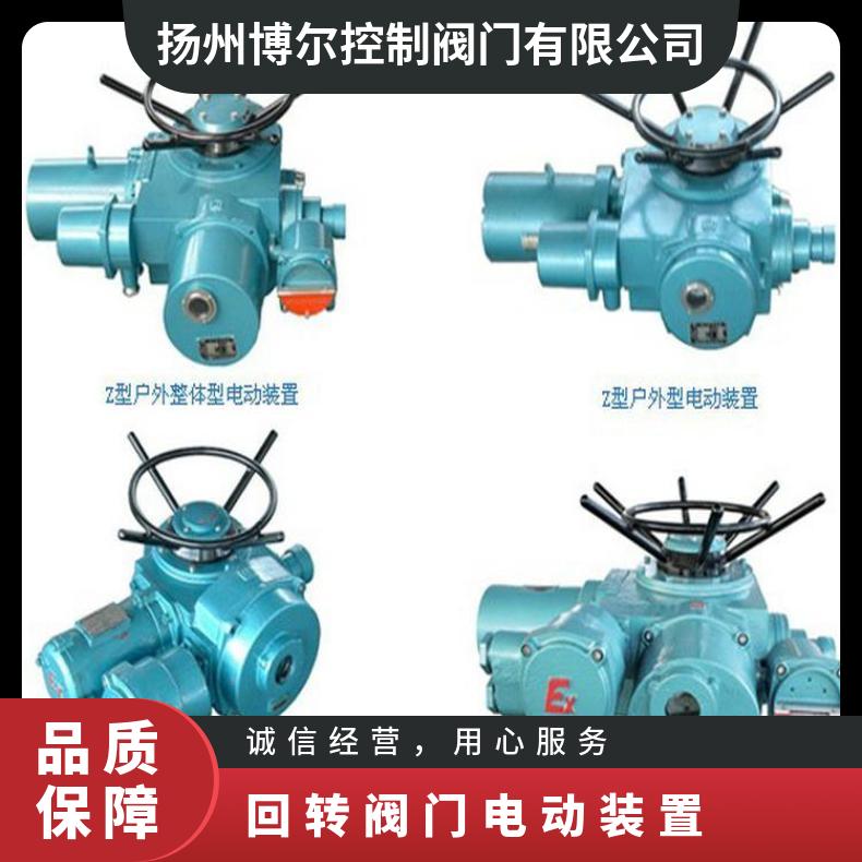 多回转DZW250-18阀门电动装置 Z-W执行器 其他博尔 2SQ30DKJ/ZKJ