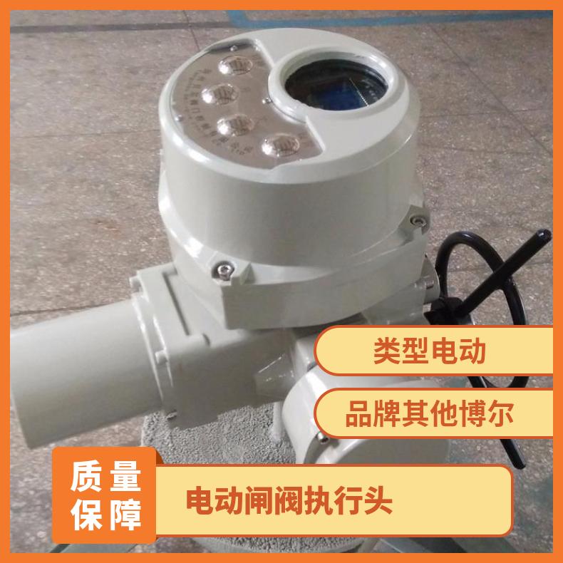 蝶阀专用执行头-电动装置 DQZB901E器制作 2SQ30DKJ/ZKJ 其他博尔