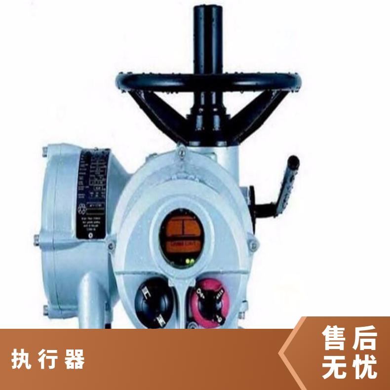 调节型执行器IQTM500 600 800罗托克 其他博尔 ZB/QBDZBDQB