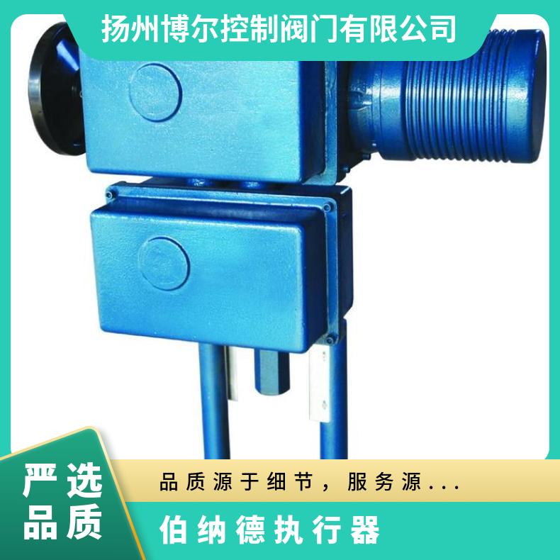 伯纳德执行器型号 AS25 50电动执行机构 装置