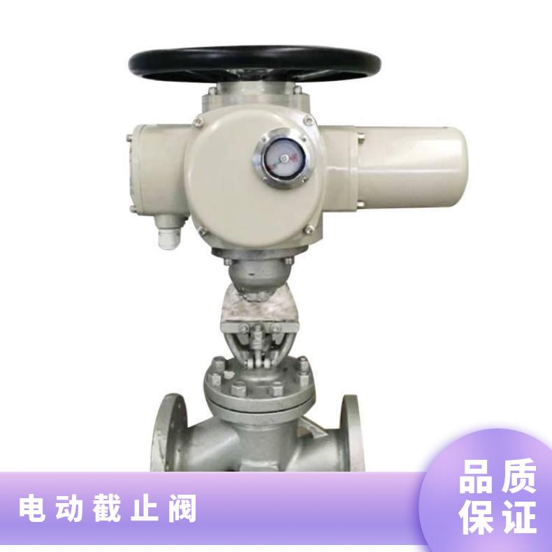 J941H-16CDN200 DN250 截止阀 DZW/ZWZB 电动执行器 其他博尔