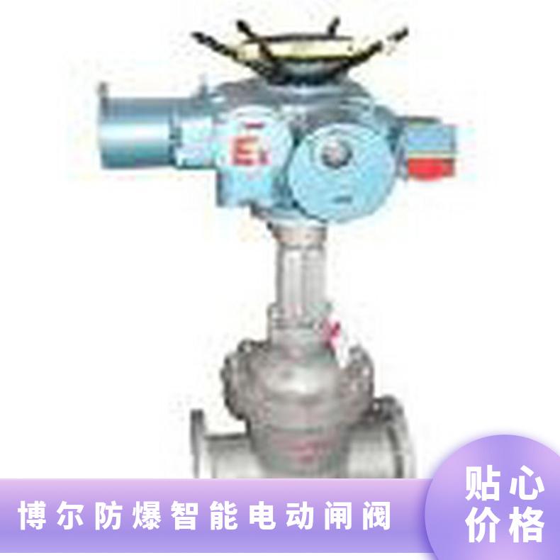 博尔防爆智能电动闸阀 MZ941H-25 DN125 矿用隔爆闸阀