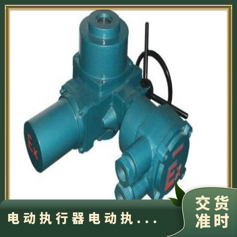 HQ10驱动装置 20阀门 40蝶阀执行器 电动 其他博尔 ZB/QBDZBDQB