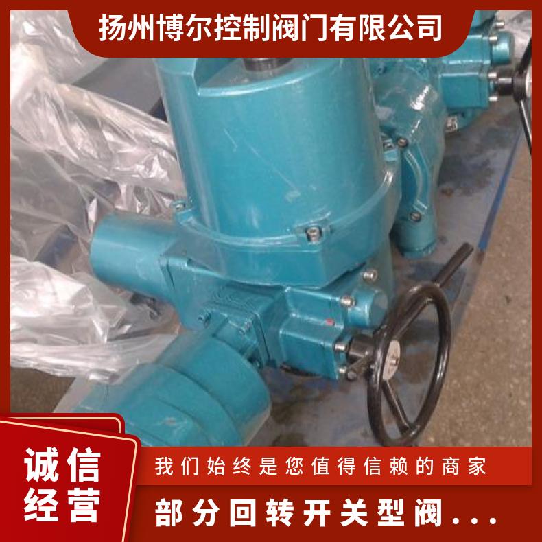 DQW120-0.5W 部分回转电动执行器 可以加工 2SQ30DKJ/ZKJ 其他博