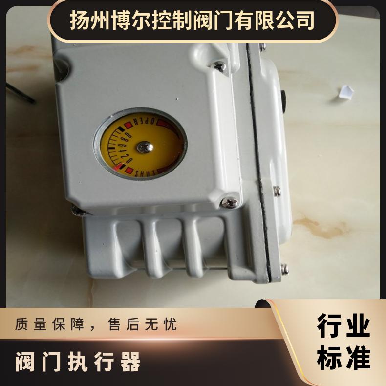 电动执行器 阀门DY-02 05 扬州博尔 200mm 否