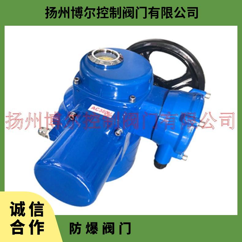 智能调节防爆阀门电动装置DZW180-18 DKJ210310,410510