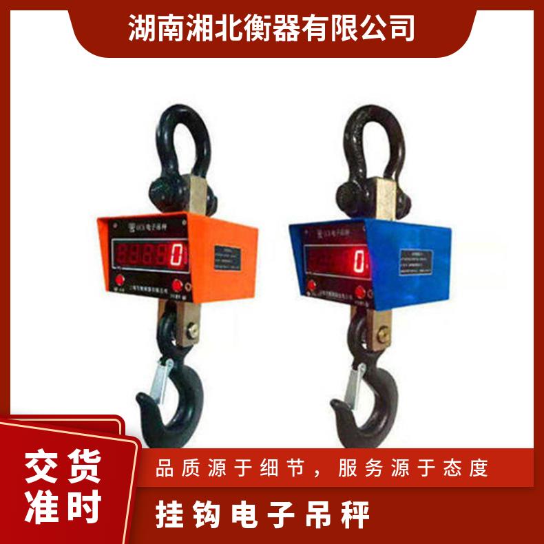 湘北衡器OCS100T直视吊钩秤 双手持打印电子吊磅