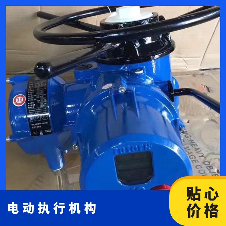 IQM10FB执行机构 IQT250 F电动执行器 其他博尔 ZB/QBDZBDQB