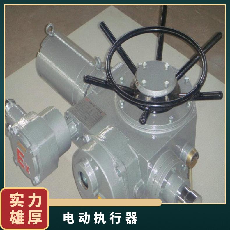 电动执行器 DZW30就地远程控制智能型执行机构