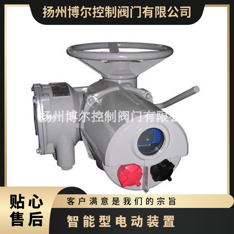 扬博尔DZW350-18W电动装置 250执行机构 180执行器