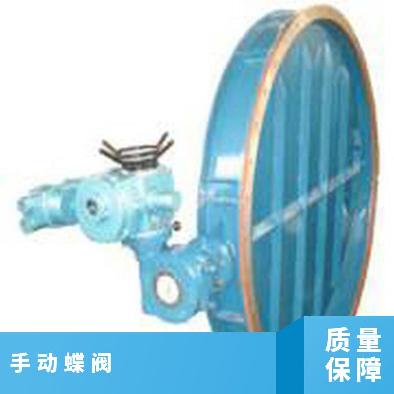 D971X电动对夹式软密封蝶阀 博尔 否 法兰 水