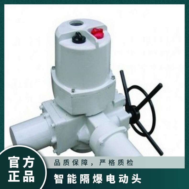 隔爆电动装置10 执行器20 头40 其他博尔 ZB/QBDZBDQB