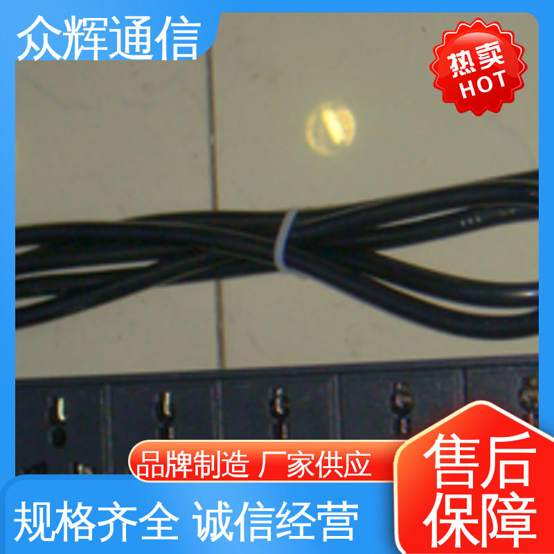 pdu 垂直安装 全国发货 实力商家 10A输出万用国标孔 众辉