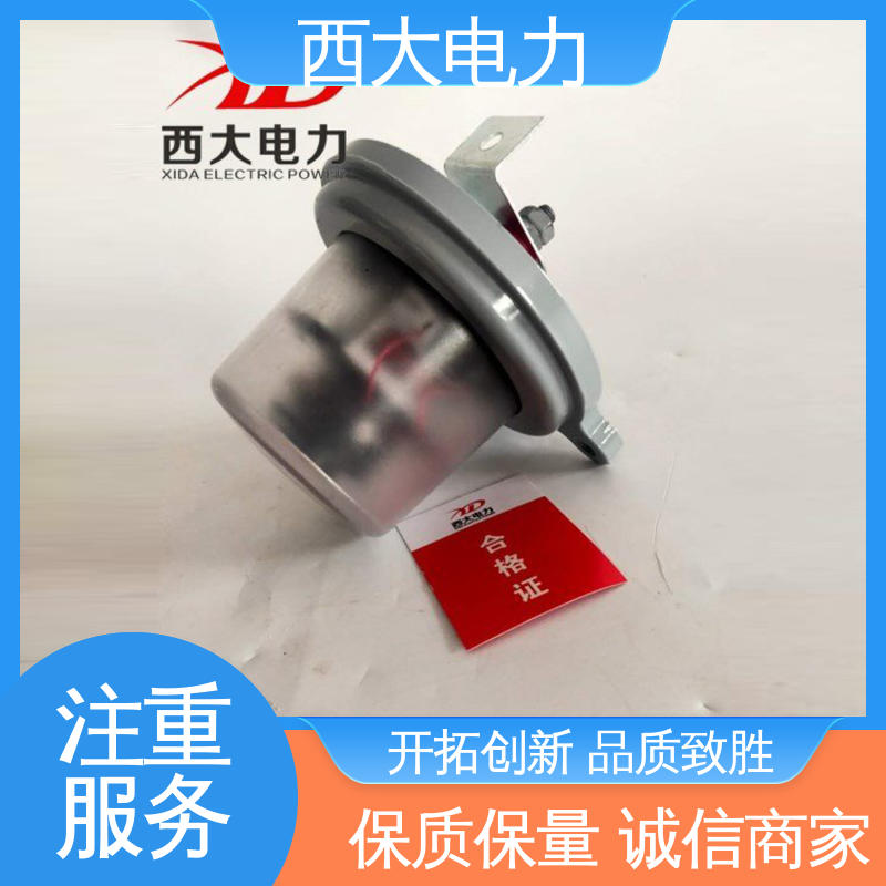 避雷器放电计数器 体积小 重量轻 JS-8 西大电力