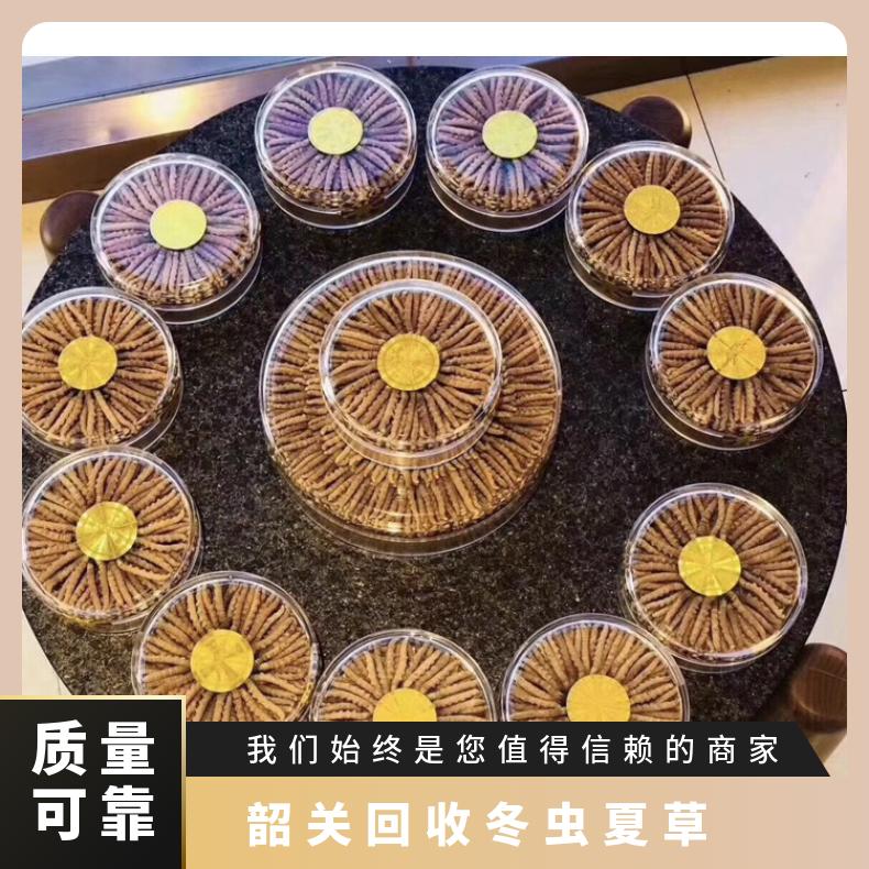 韶关回收冬虫夏草 一级冬虫夏草上门回收价格 高价回收礼盒装虫草