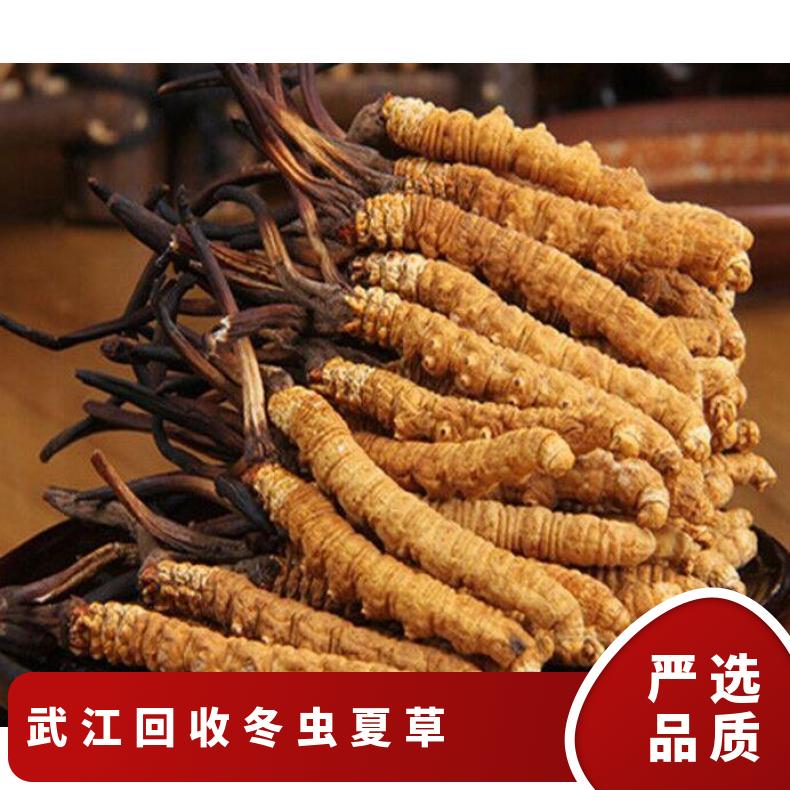 武江回收冬虫夏草价格 长期上门回收散装礼盒装虫草燕窝海参