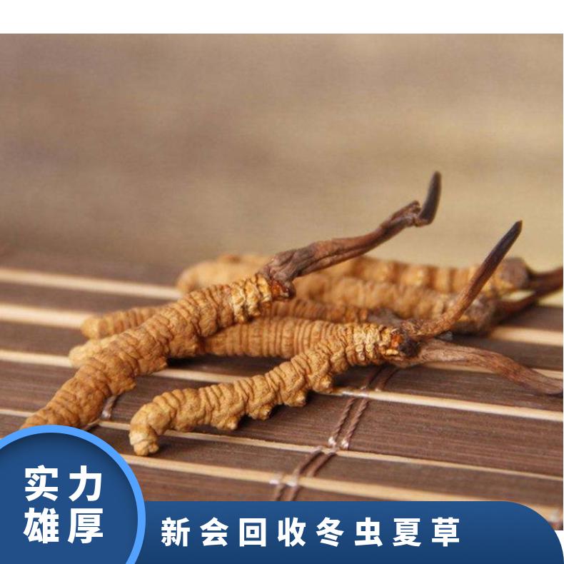 新会回收冬虫夏草 回收虫草礼盒装价格 上门回收茅台酒洋酒回收燕窝