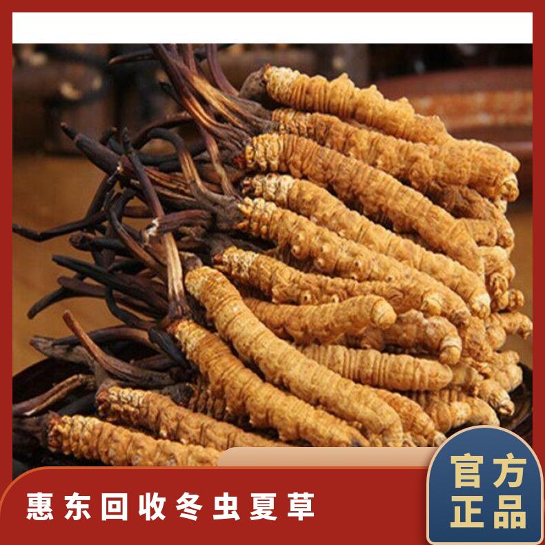 惠东回收冬虫夏草 上门收购礼盒装冬虫夏草 燕窝 回收茅台酒洋酒