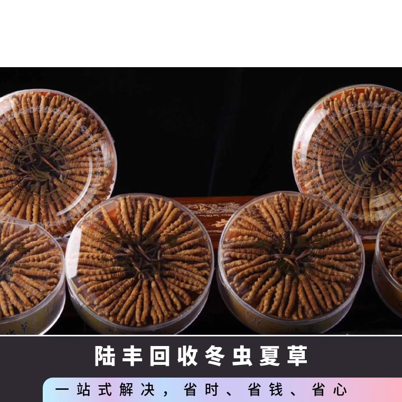 陆丰回收冬虫夏草 虫草回收上门电话 收购茅台酒洋酒红酒虫草燕窝