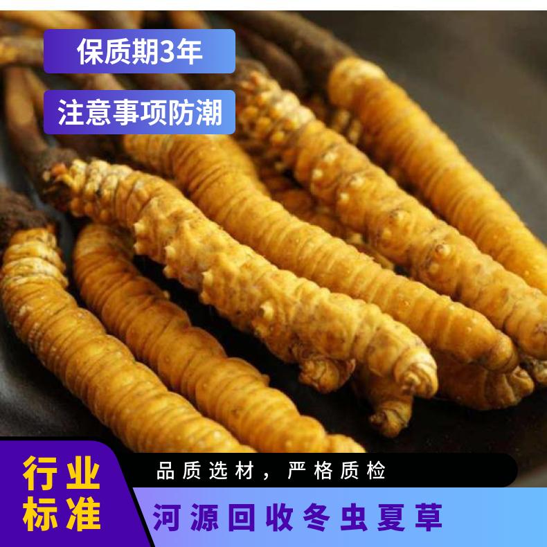 河 源回收冬虫夏草 散装礼盒装虫草收购行情 全天上门鉴定