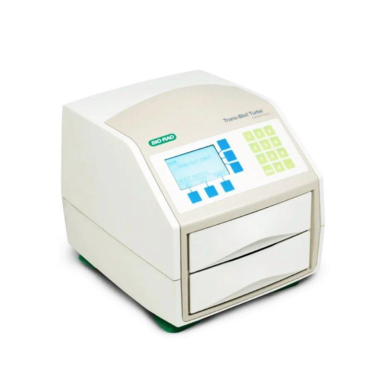 伯乐biorad Trans-Blot Turbo伯乐蛋白转印印迹 4块凝胶