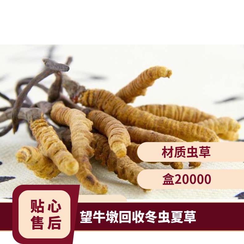 望牛墩回收冬虫夏草 礼盒装冬虫夏草回收价格 收购虫草燕窝海参鱼胶