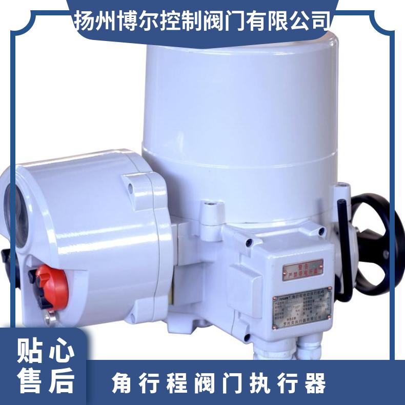 IAT1000角行程电动执行器罗托克智能装置 ZB/QBDZBDQB 其他博尔