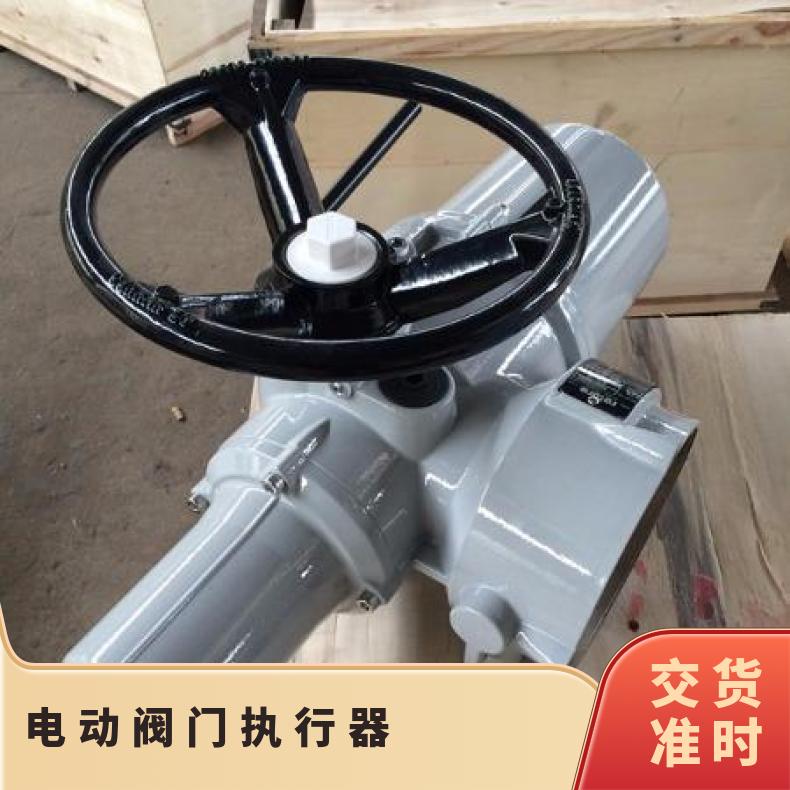 保亭县电动装置Z120阀门DZW180执行器 ZB/QBDZBDQB 其他博尔