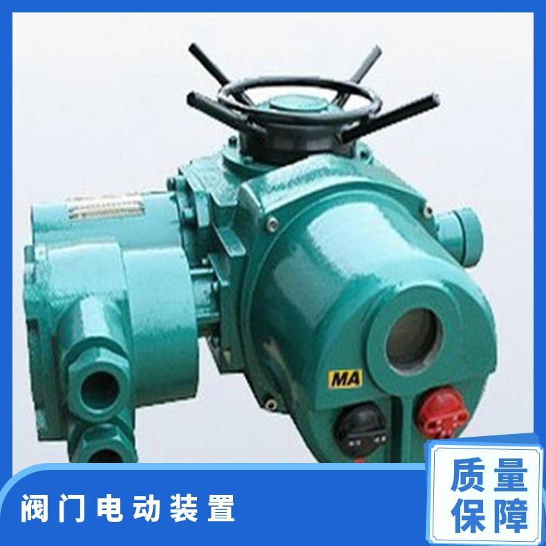 DZZ15-24 DZT- DZZT-18W电动执行器 2SQ30DKJ/ZKJ 法兰 其他博尔