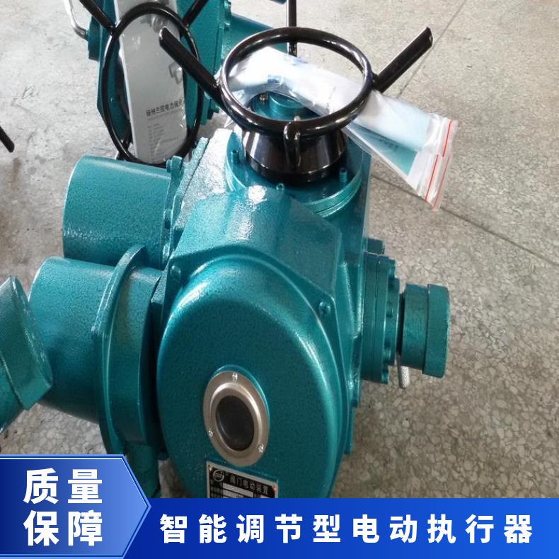 调节型电动执行器 30多回转智能型装置 其他博尔 DZW/ZWZB