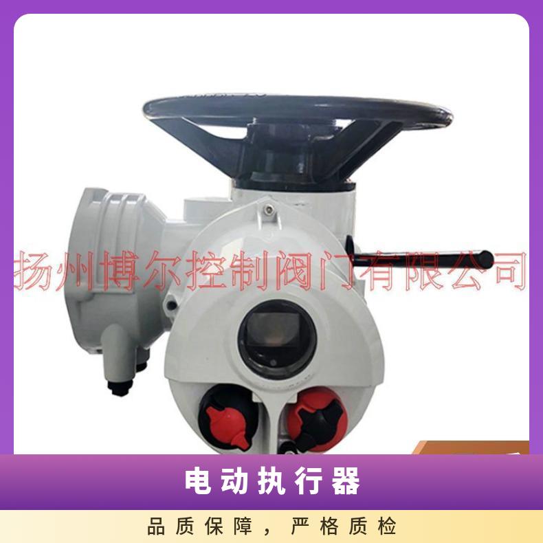 IQTF125罗托克电动执行器 角行程 执行机构 50kg 是 博尔电装