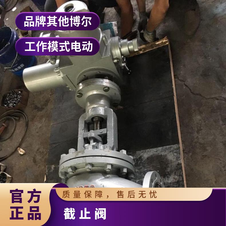 J941H-25C DN 32 40 50电动截止阀 2.5mpa铸钢法兰阀
