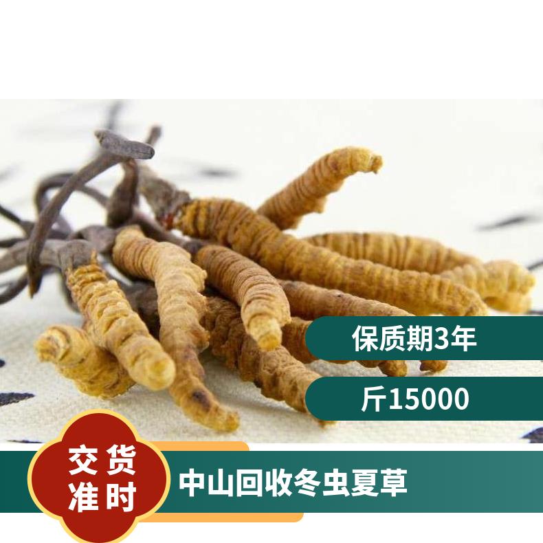 广粤回收冬虫夏草 冷藏 千克 否 3年 精品礼盒包装 干燥 斤15000