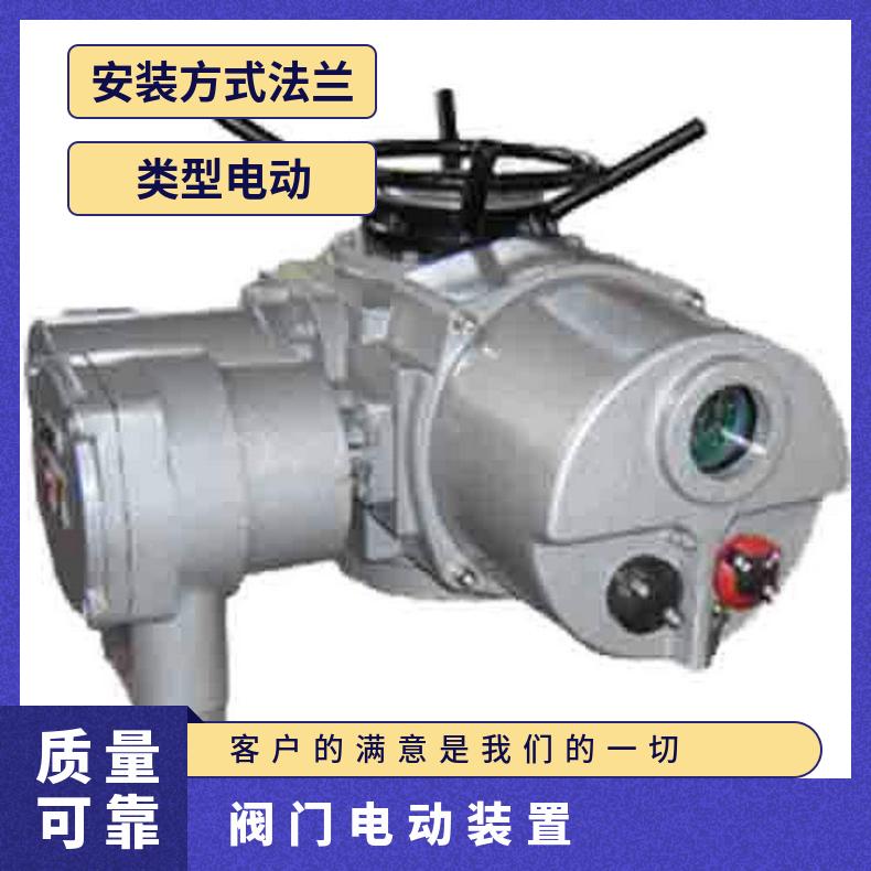 多回转DZZ45-24 DZZT-18 DZT-阀门电动装置 其他博尔 2SQ30DKJ/ZK