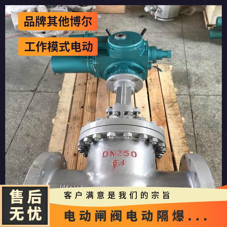 国标电动闸阀 Z941H-16/25/40 法兰闸阀 闸阀